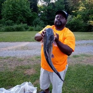 Meet your Posher, Eddie